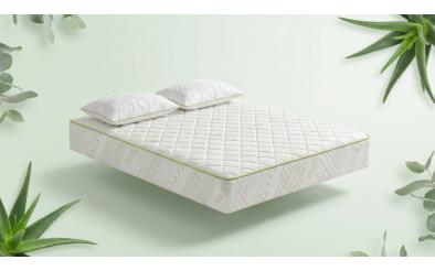 Σετ στρώμα 160/200 + 2 μαξιλάρια Acapulko + Aloe Dream Σετ στρώμα 160/200 + 2 μαξιλάρια