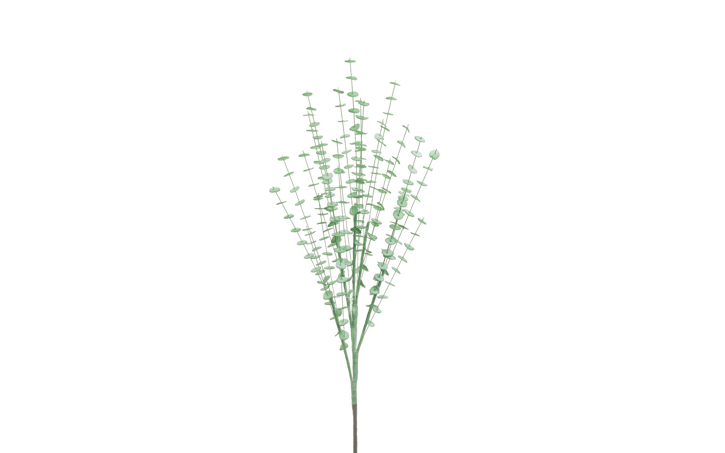 Διακοσμητικό φυτό, πράσινο  1