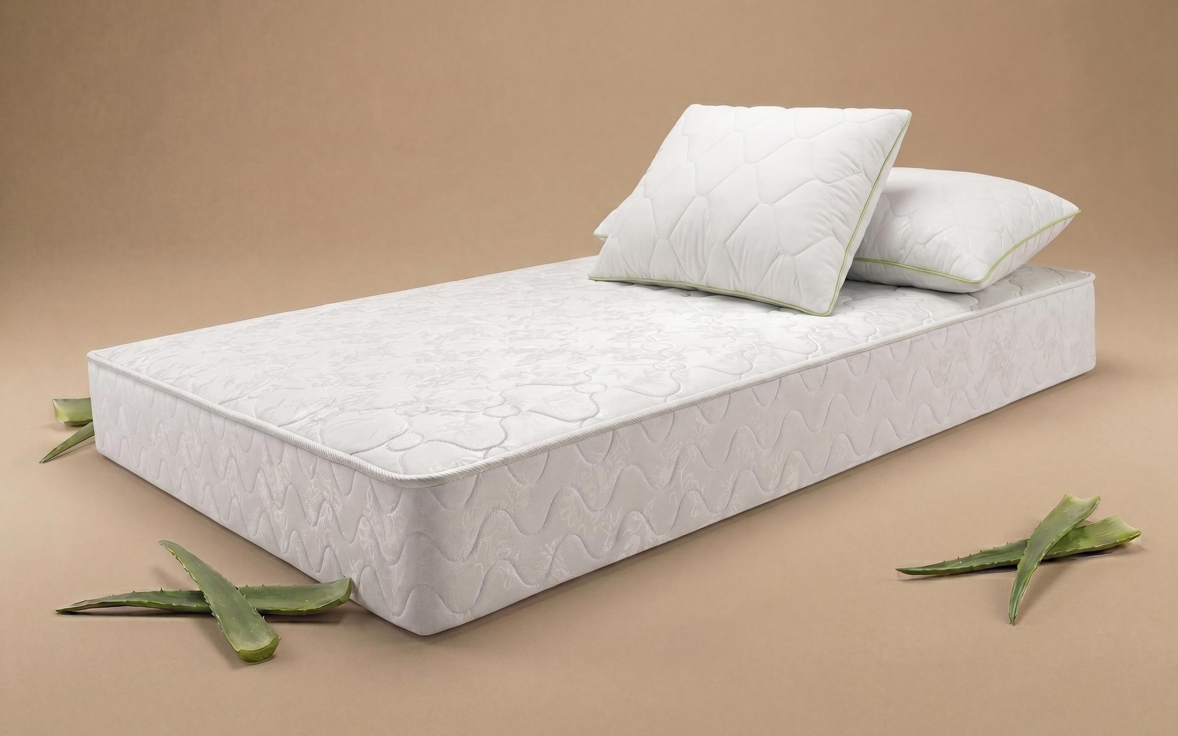 Σετ στρώμα 160/200 + 2 μαξιλάρια Leo Classic + Aloe Dream,   1