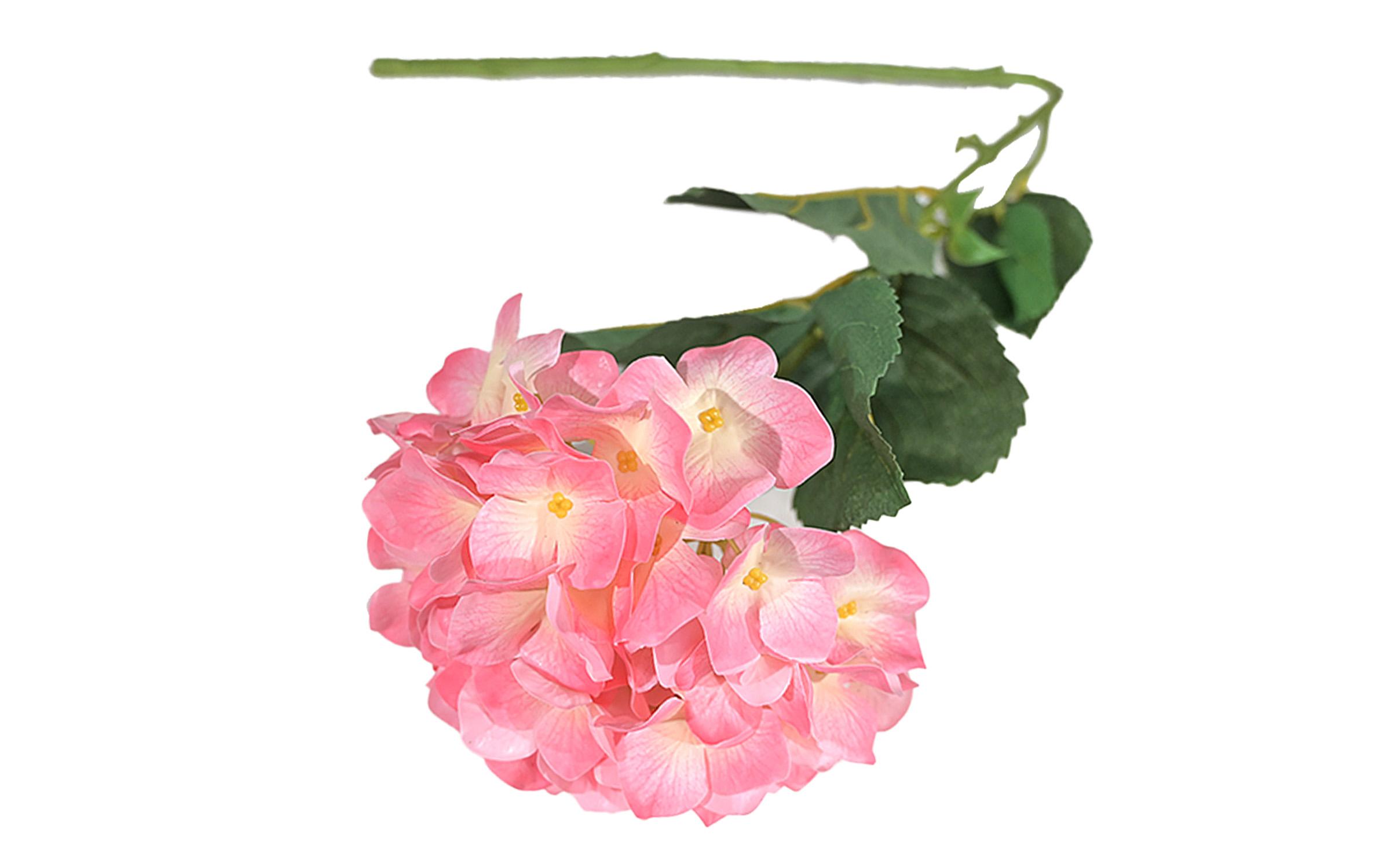 Διακοσμητικό φυτό, ροζ  2
